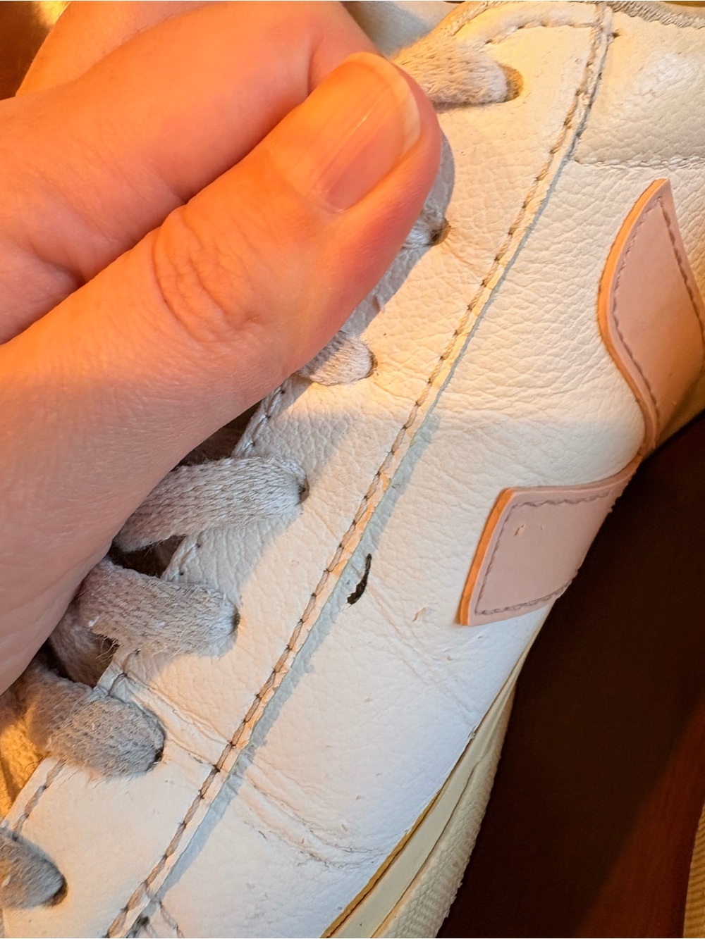 Veja Campo Sneakers- Rare Color - Picture 9 of 10